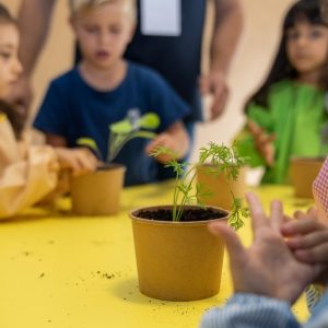 Literacia em Nutricao 1