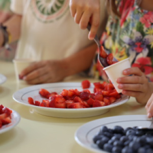 Literacia em Nutricao 6