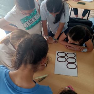 Mercado de Trabalhos 13